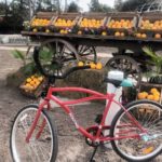 bicicleteada-malabrigo6